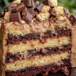 Irresistible Decadent Snickers Cake 9 Irresistible Decadent Snickers Cake