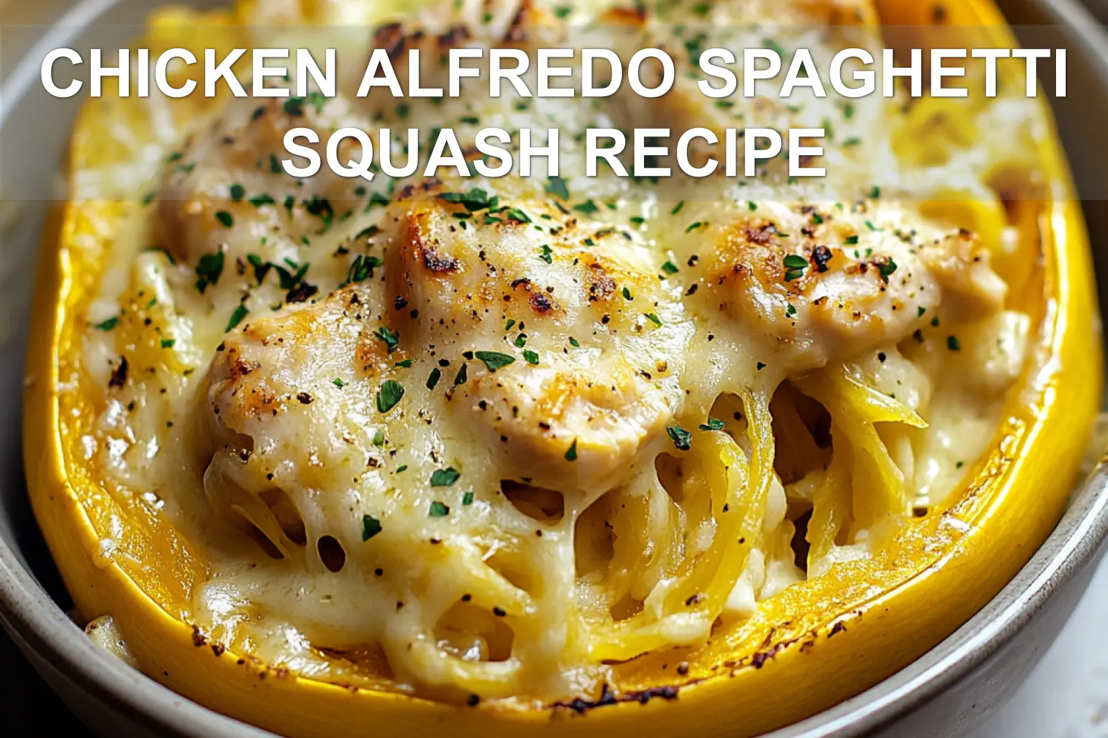 CHICKEN ALFREDO SPAGHETTI SQUASH RECIPE centered hero view, clean and uncluttered
