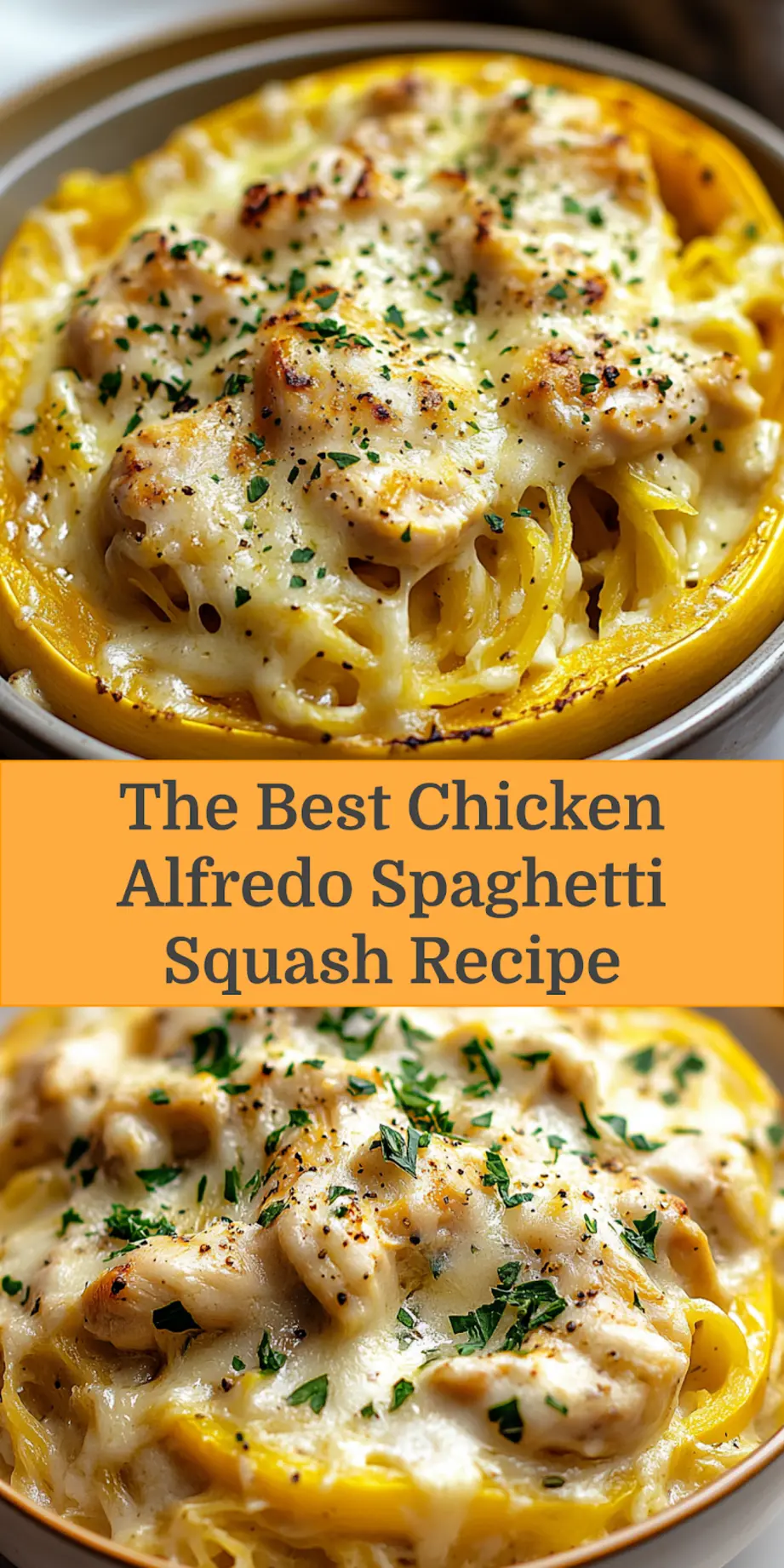 CHICKEN ALFREDO SPAGHETTI SQUASH RECIPE centered hero view, clean and uncluttered_pin