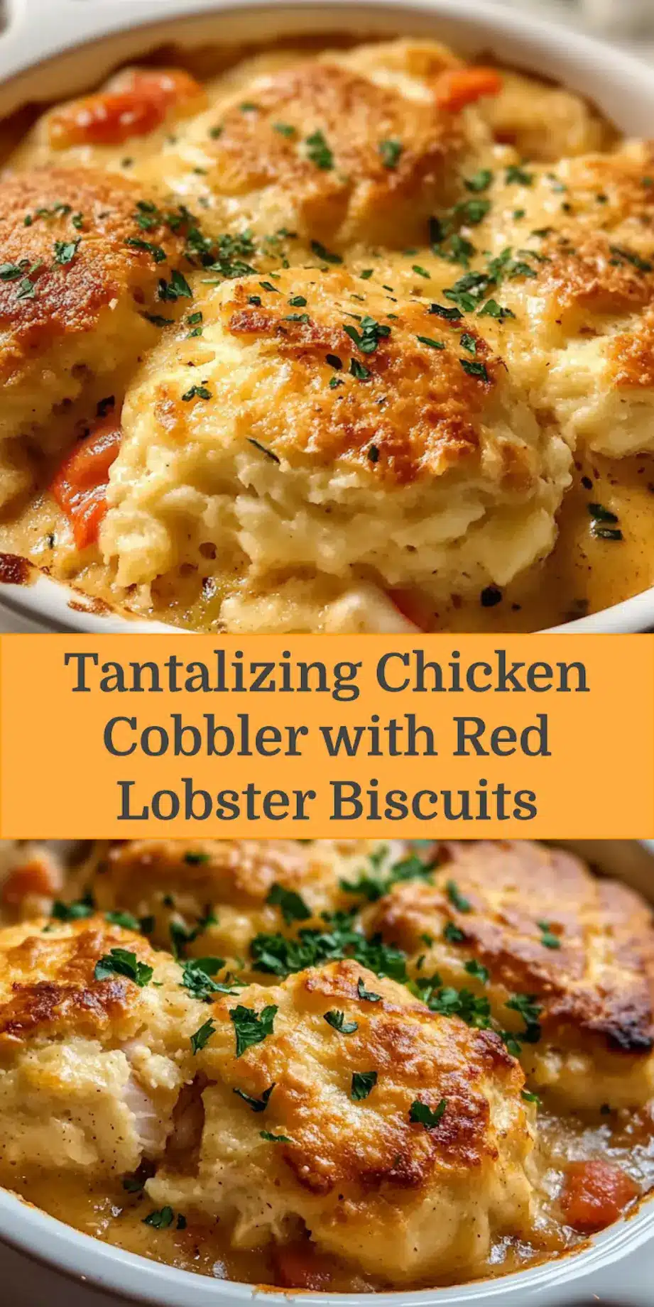 CHICKEN COBBLER WITH RED LOBSTER BISCUITS centered hero view, clean and uncluttered_pin