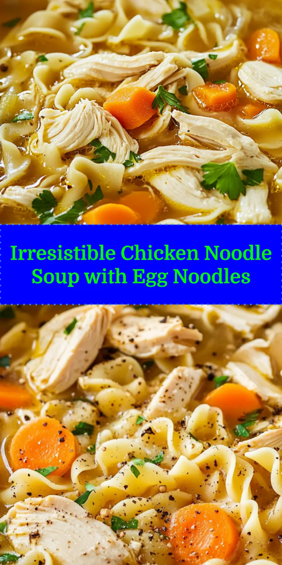 CHICKEN NOODLE SOUP WITH EGG NOODLES centered hero view, clean and uncluttered_pin