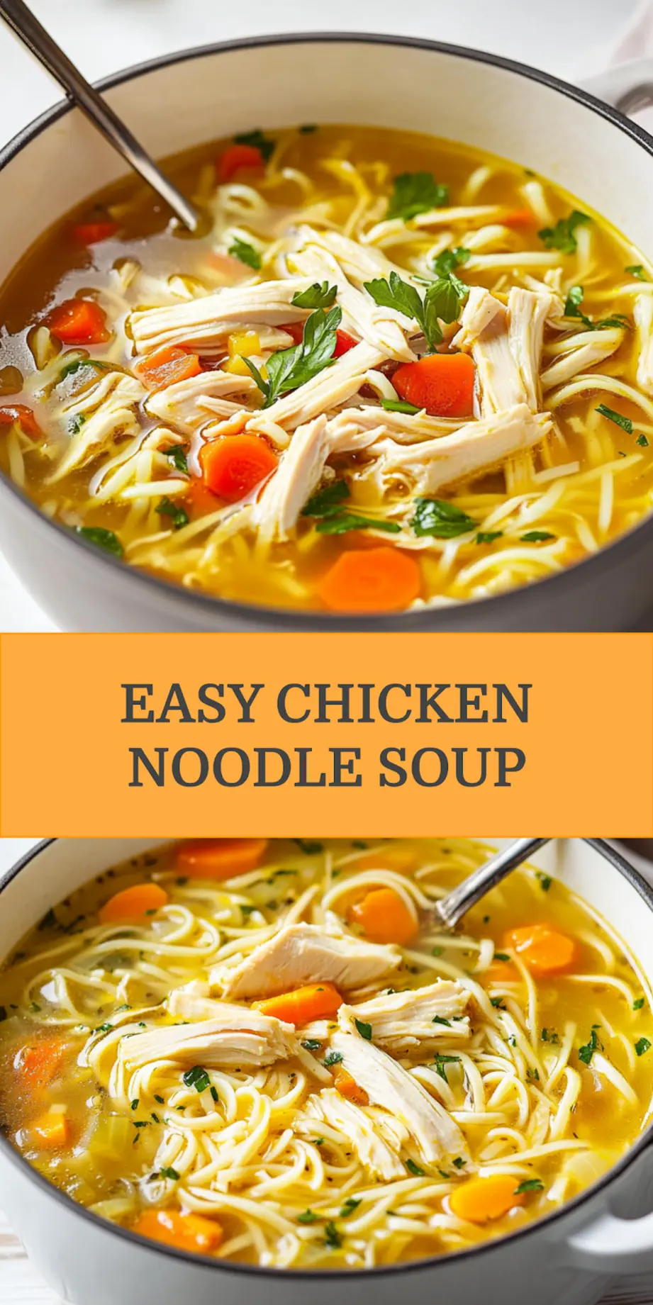 CHICKEN NOODLE SOUP centered hero view, clean and uncluttered_pin