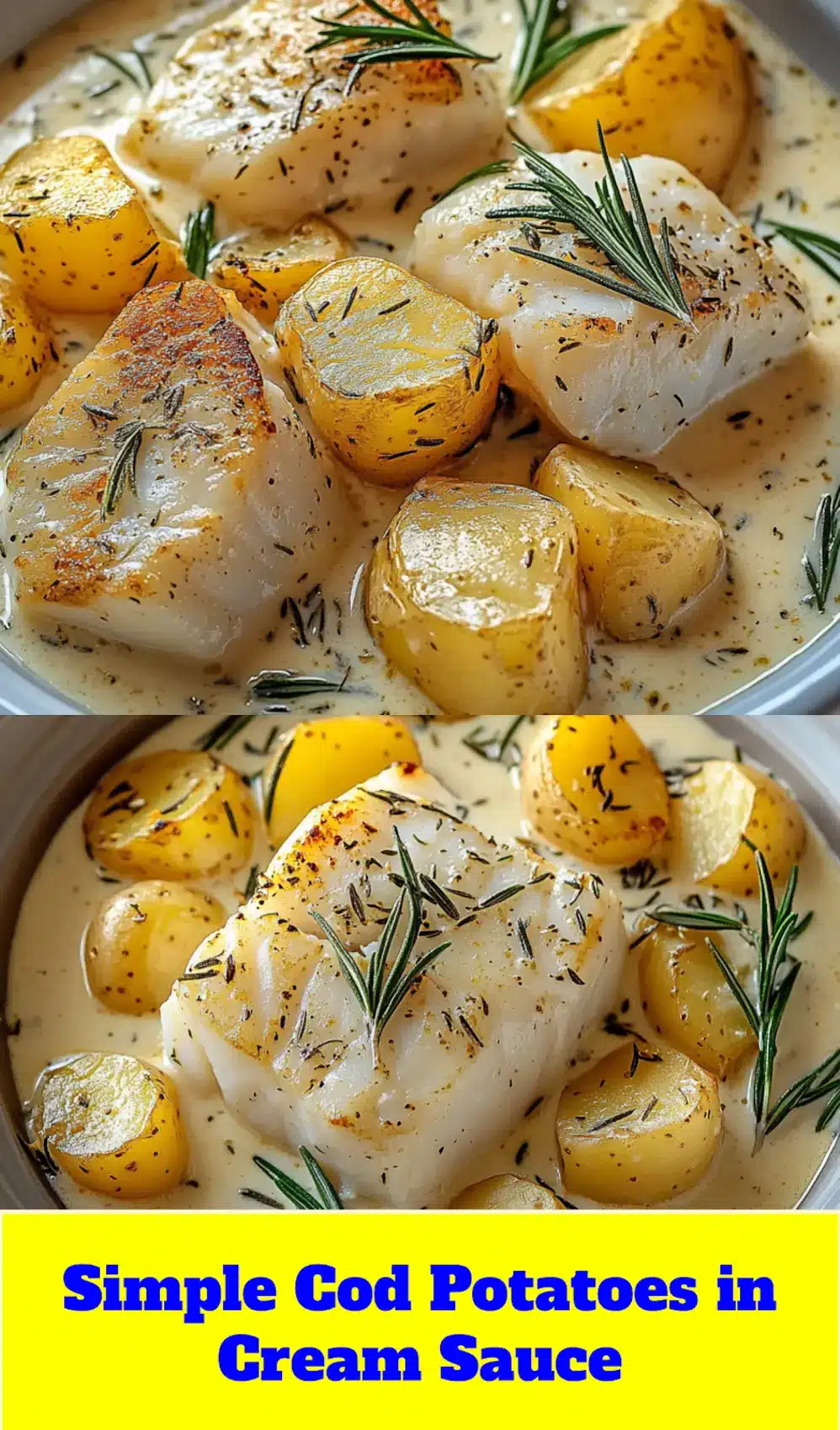 COD POTATOES IN ROSEMARY CREAM SAUCE centered hero view, clean and uncluttered_pin