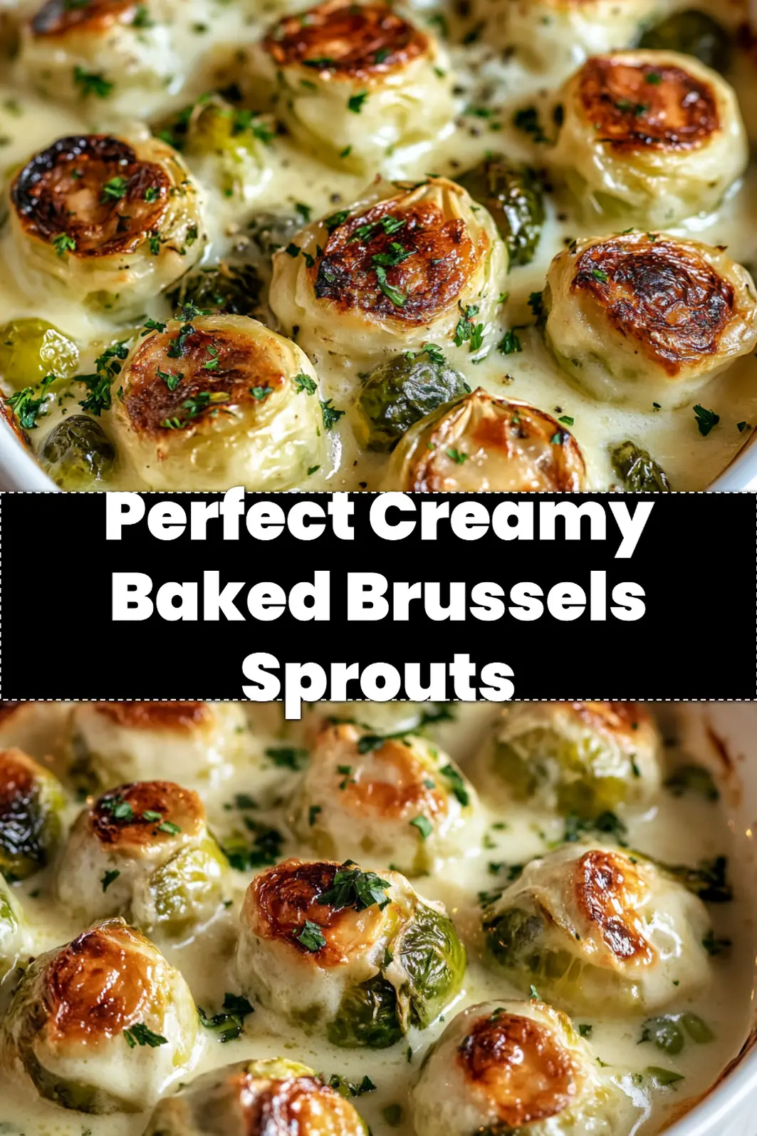 CREAMY BAKED BRUSSELS SPROUTS centered hero view, clean and uncluttered_pin