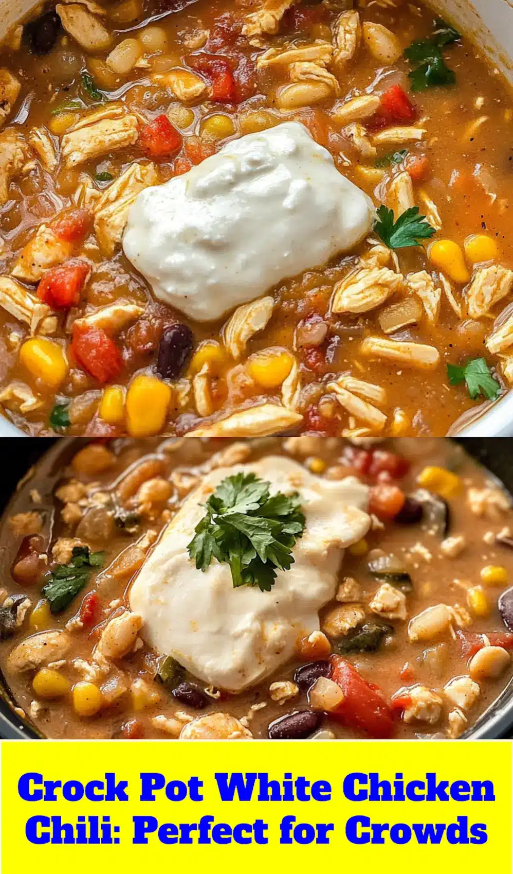 CROCK POT WHITE CHICKEN CHILI centered hero view, clean and uncluttered_pin