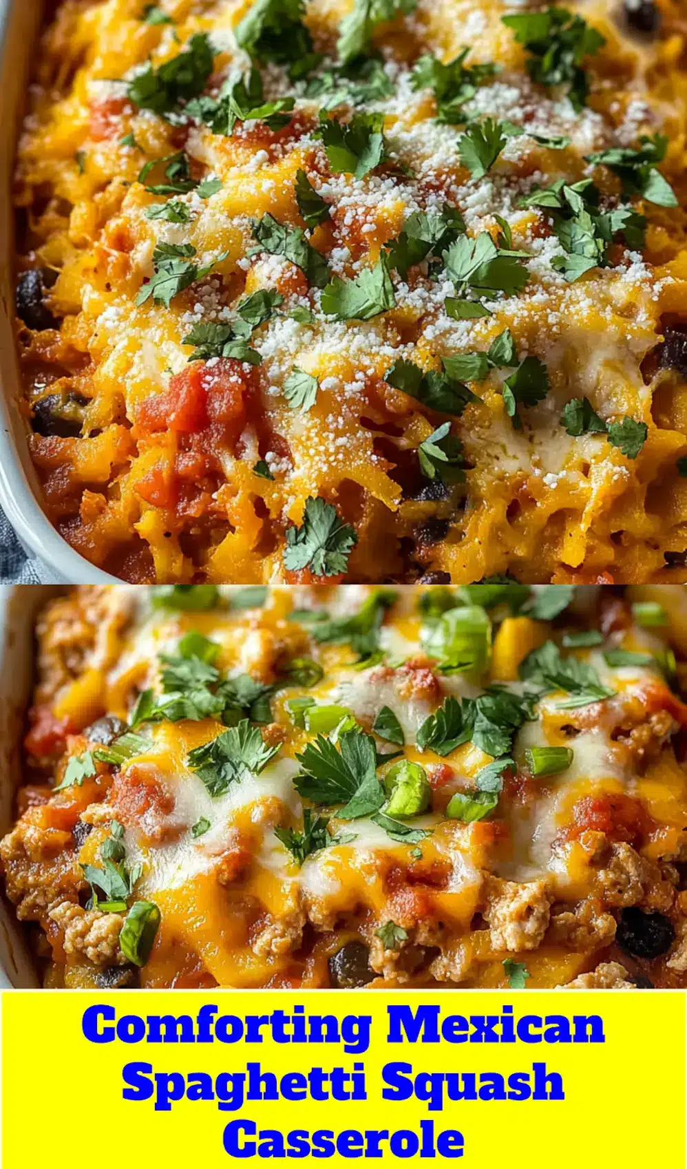 MEXICAN SPAGHETTI SQUASH CASSEROLE centered hero view, clean and uncluttered_pin