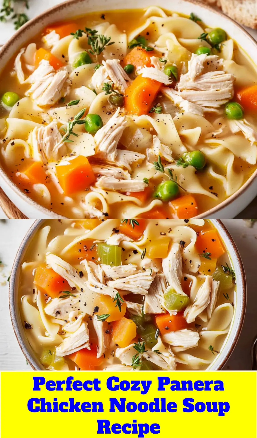 PANERA CHICKEN NOODLE SOUP RECIPE centered hero view, clean and uncluttered_pin