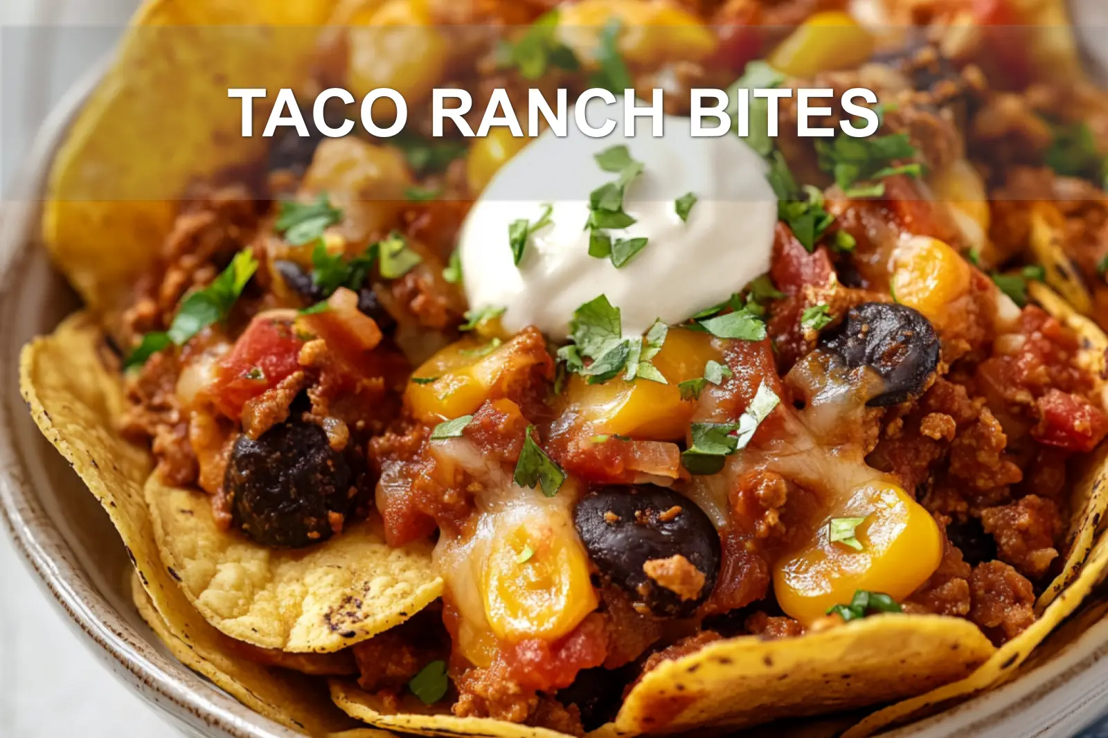 Taco Ranch Bites: Easy and Irresistible Snacks 4 TACO RANCH BITES centered hero view, clean and uncluttered
