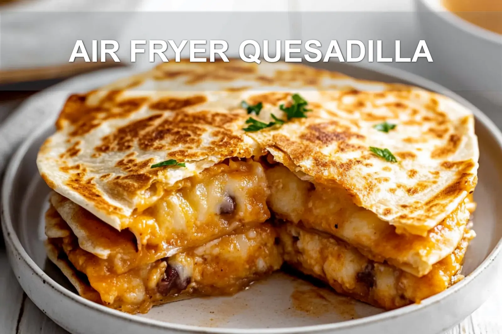 AIR FRYER QUESADILLA centered hero view, clean and uncluttered