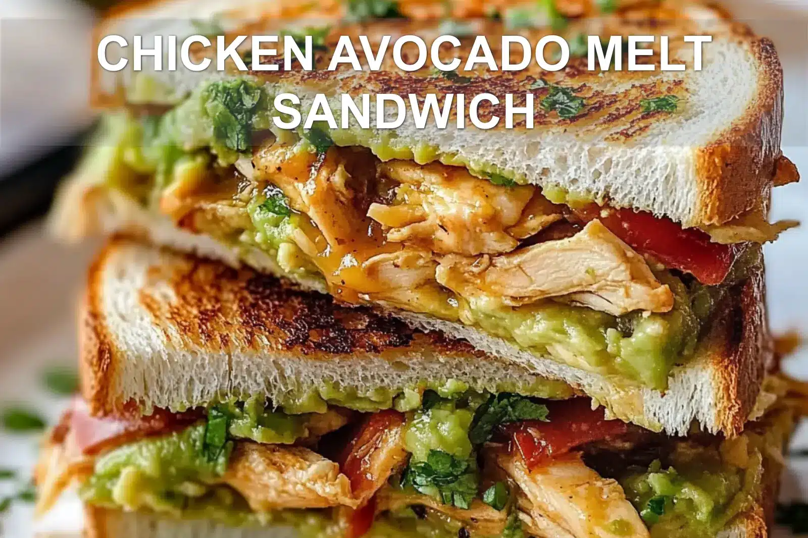 CHICKEN AVOCADO MELT SANDWICH centered hero view, clean and uncluttered
