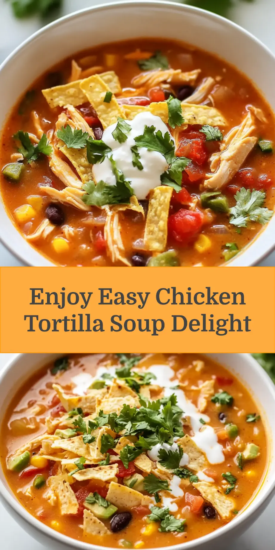 EASY CHICKEN TORTILLA SOUP centered hero view, clean and uncluttered_pin