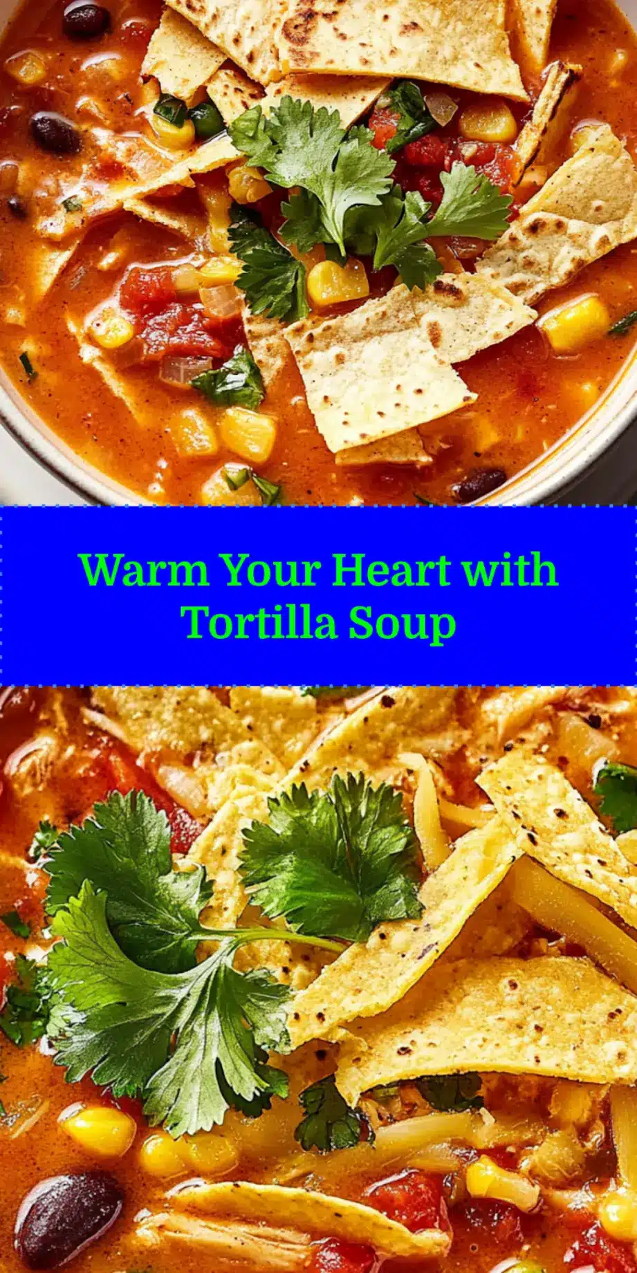 TORTILLA SOUP centered hero view, clean and uncluttered_pin