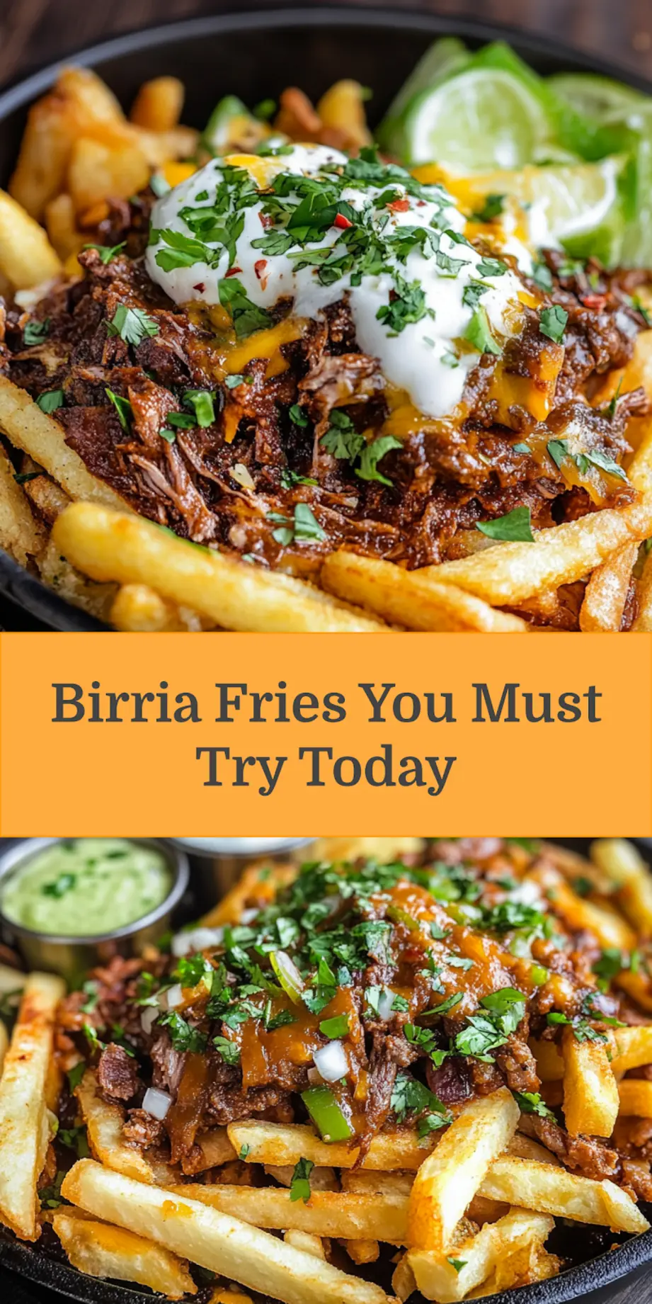 BIRRIA FRIES centered hero view, clean and uncluttered_pin