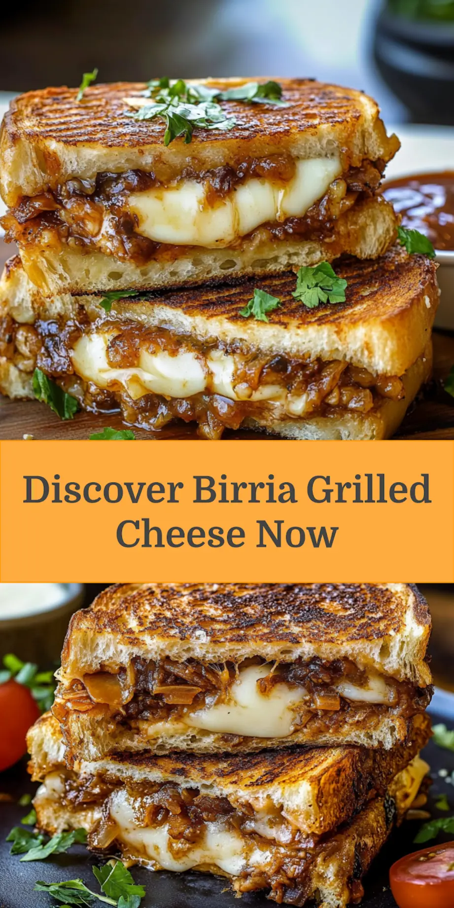 BIRRIA GRILLED CHEESE centered hero view, clean and uncluttered_pin