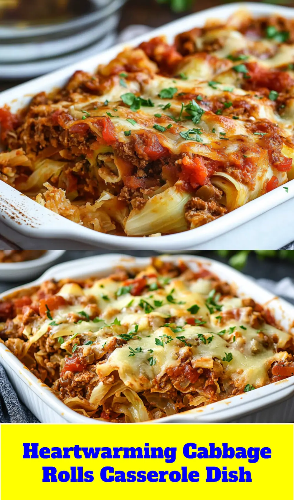 CABBAGE ROLLS CASSEROLE centered hero view, clean and uncluttered_pin