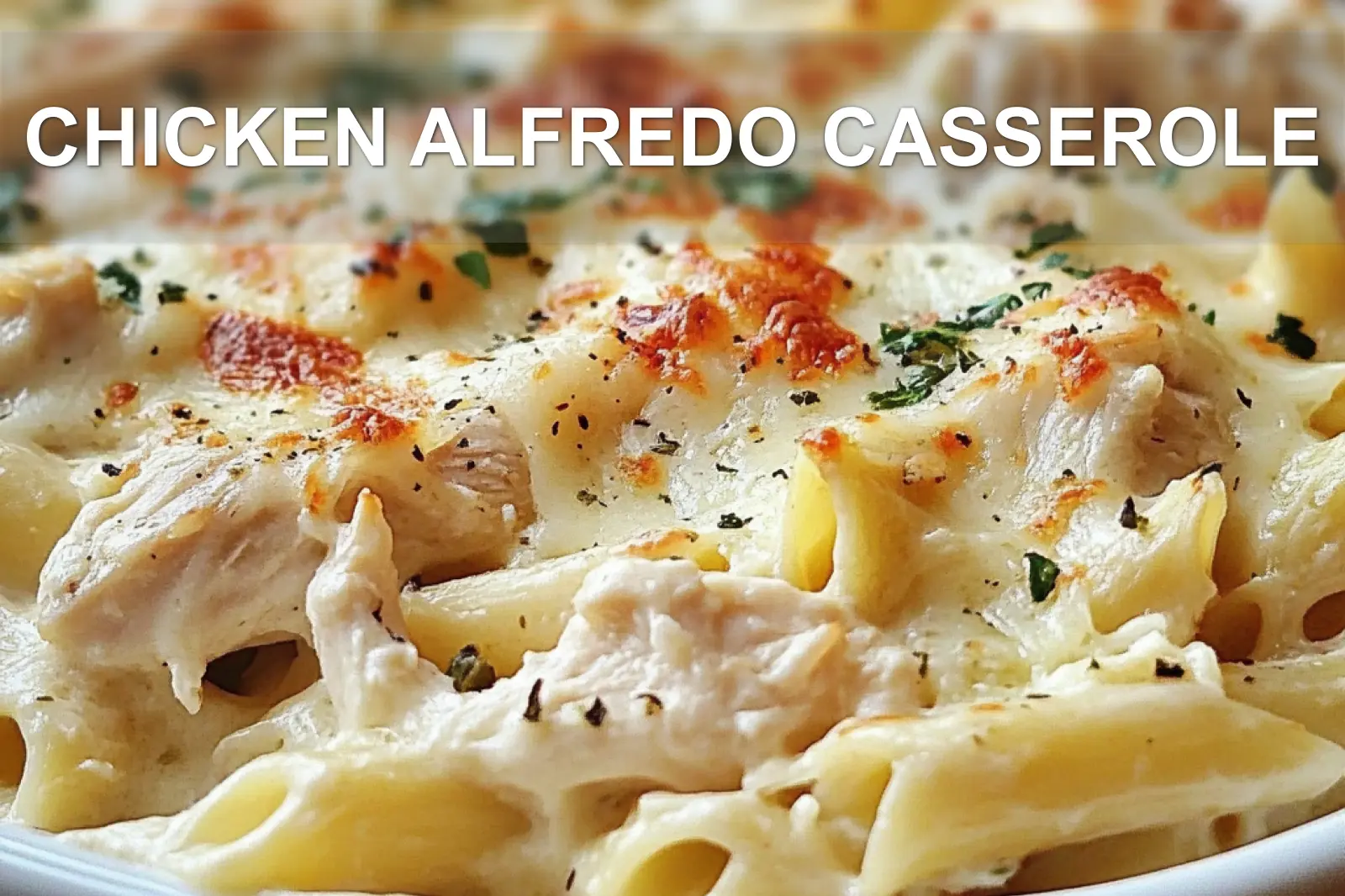 CHICKEN ALFREDO CASSEROLE centered hero view, clean and uncluttered