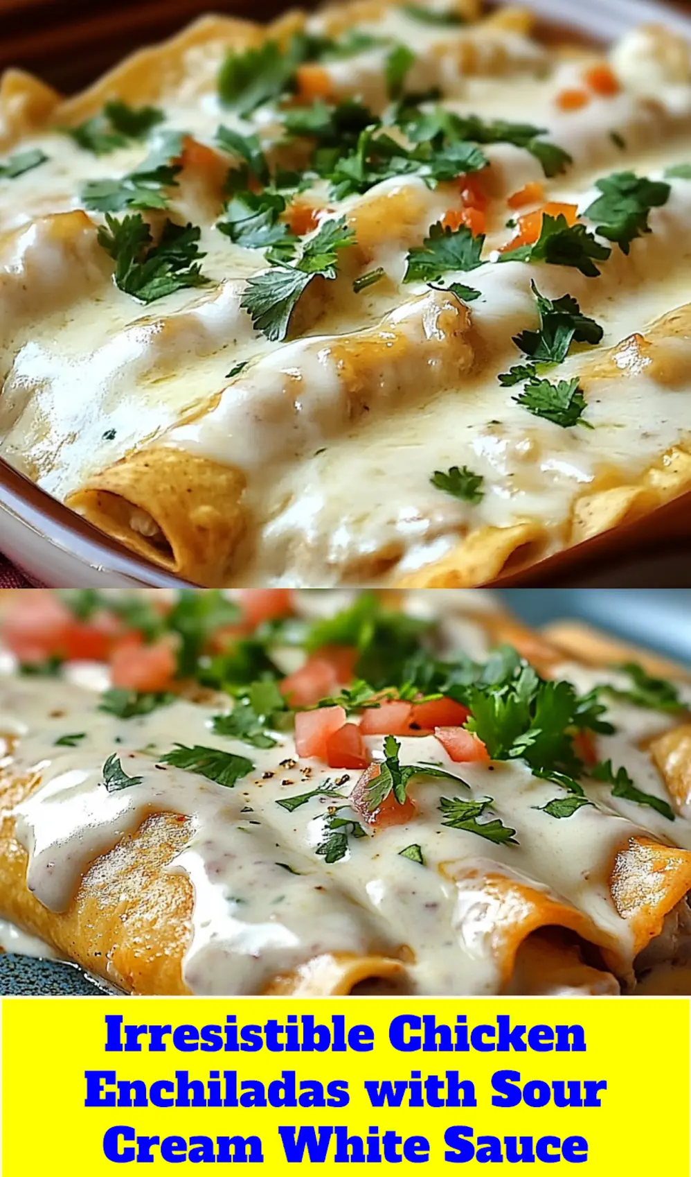 CHICKEN ENCHILADAS WITH SOUR CREAM WHITE SAUCE centered hero view, clean and uncluttered_pin