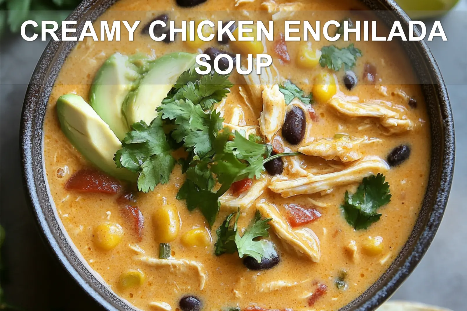 CREAMY CHICKEN ENCHILADA SOUP centered hero view, clean and uncluttered