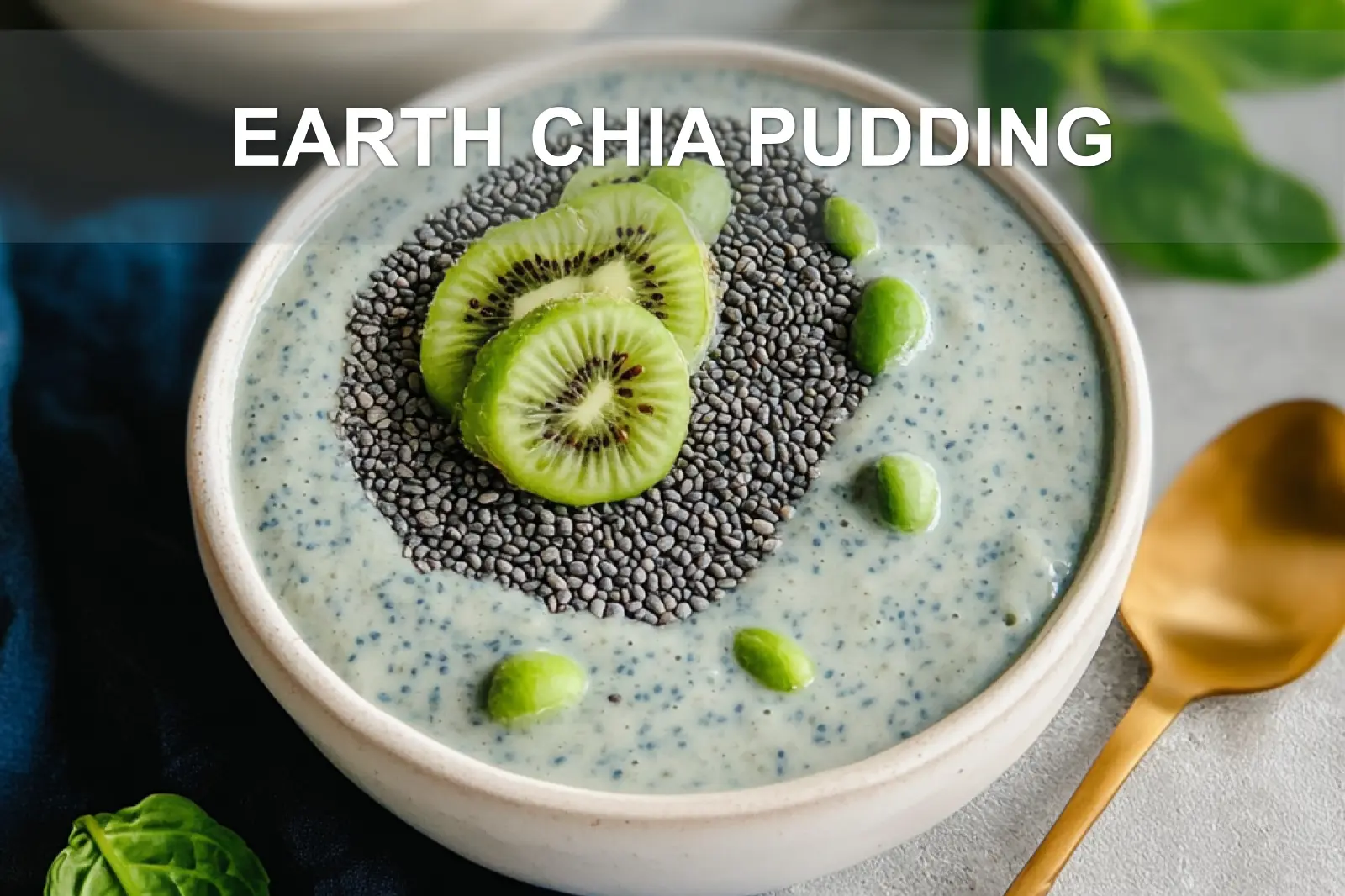 EARTH CHIA PUDDING centered hero view, clean and uncluttered