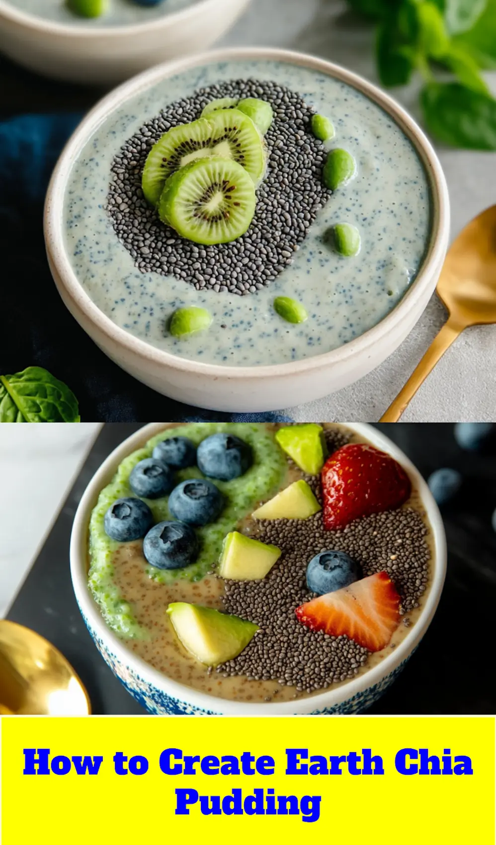 EARTH CHIA PUDDING centered hero view, clean and uncluttered_pin