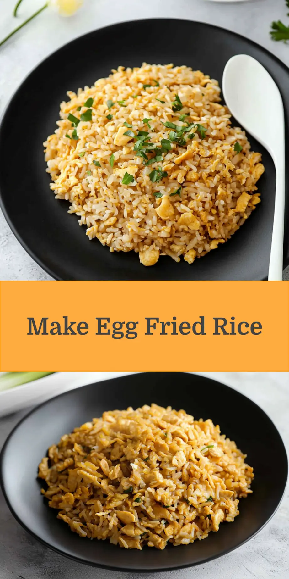 EGG FRIED RICE centered hero view, clean and uncluttered_pin
