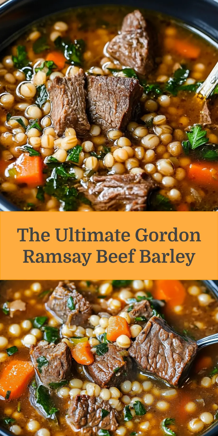 GORDON RAMSAY BEEF BARLEY SOUP centered hero view, clean and uncluttered_pin