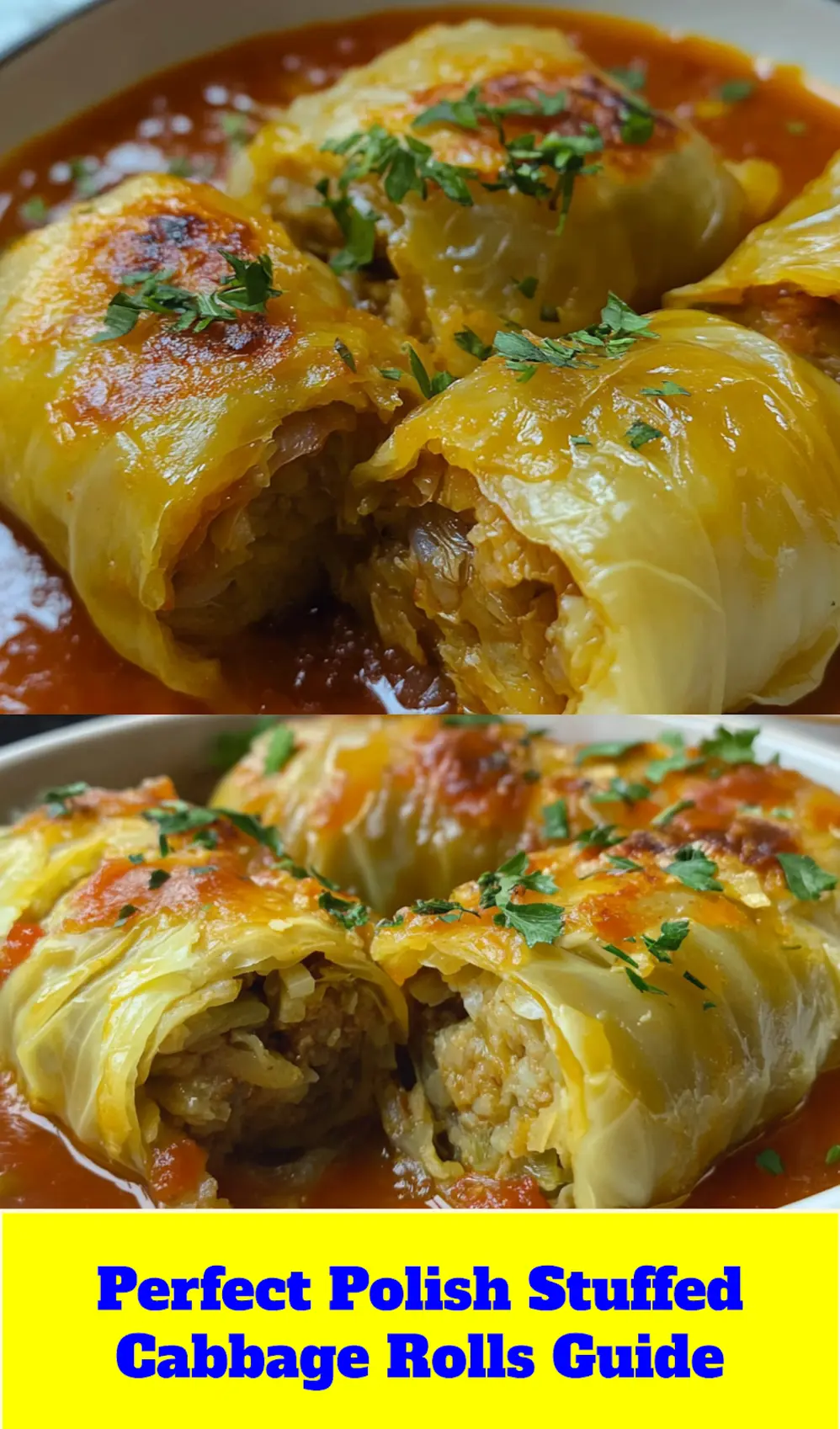 POLISH STUFFED CABBAGE ROLLS centered hero view, clean and uncluttered_pin