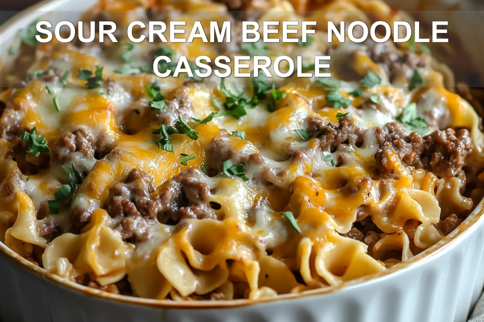 Sour Cream Beef Noodle Casserole for a Cozy Dinner 2 SOUR CREAM BEEF NOODLE CASSEROLE centered hero view, clean and uncluttered