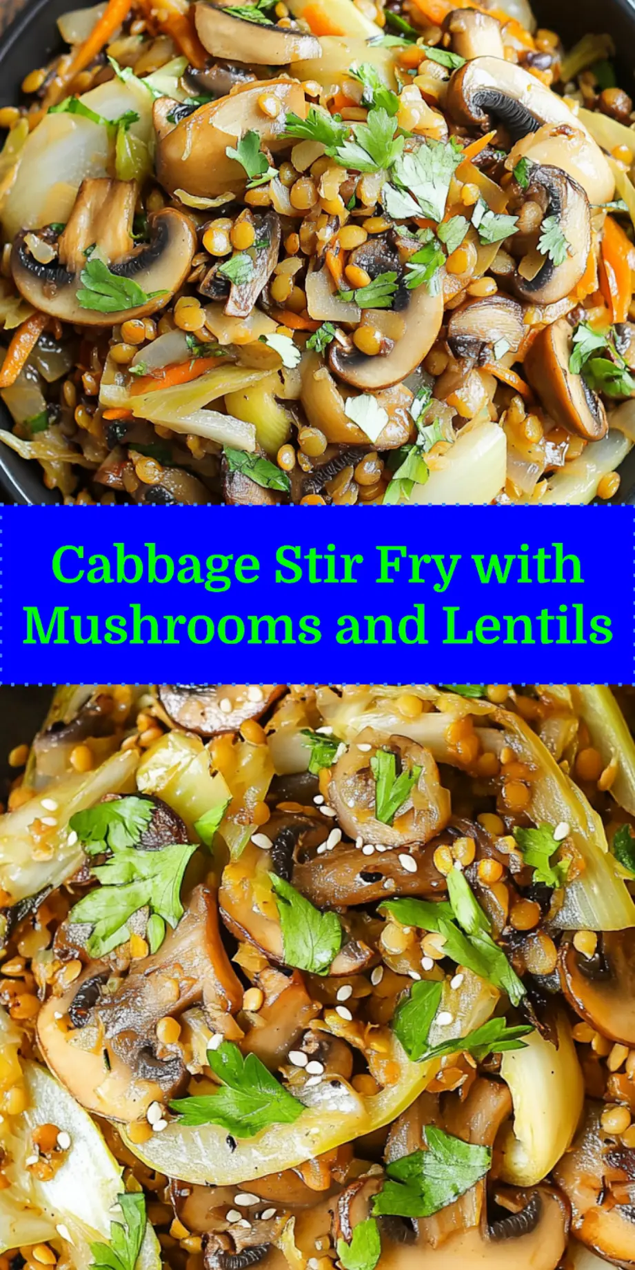 CABBAGE STIR FRY WITH MUSHROOMS AND LENTILS centered hero view, clean and uncluttered_pin