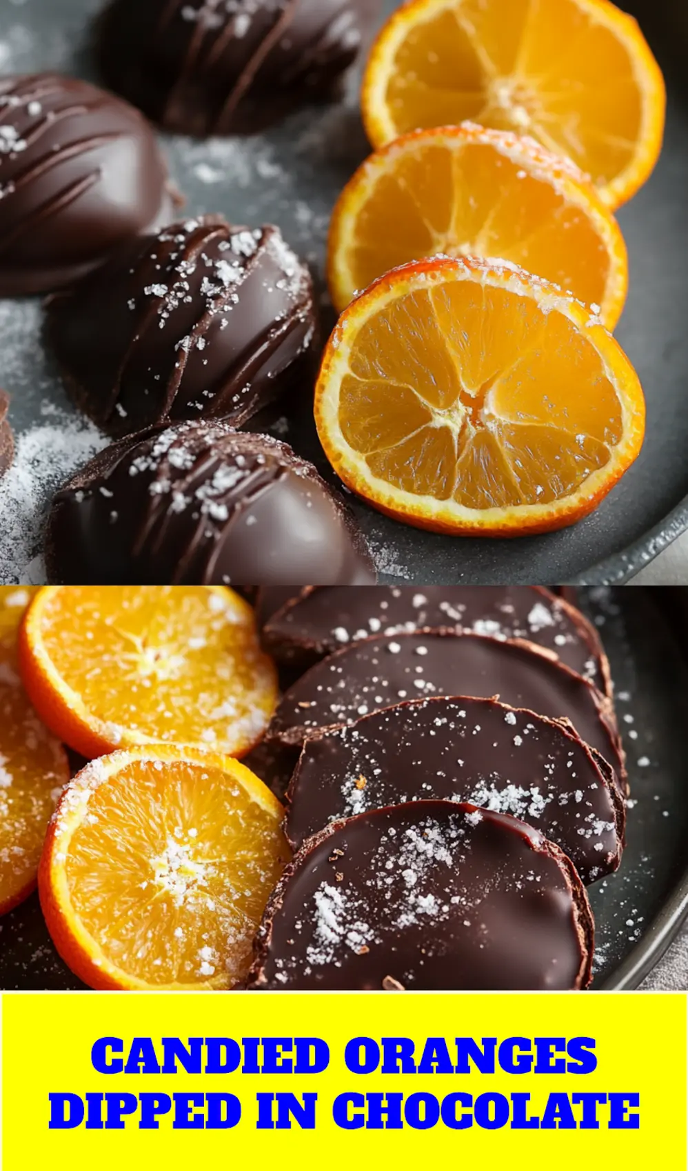 Candied oranges dipped in chocolate centered hero view, clean and uncluttered