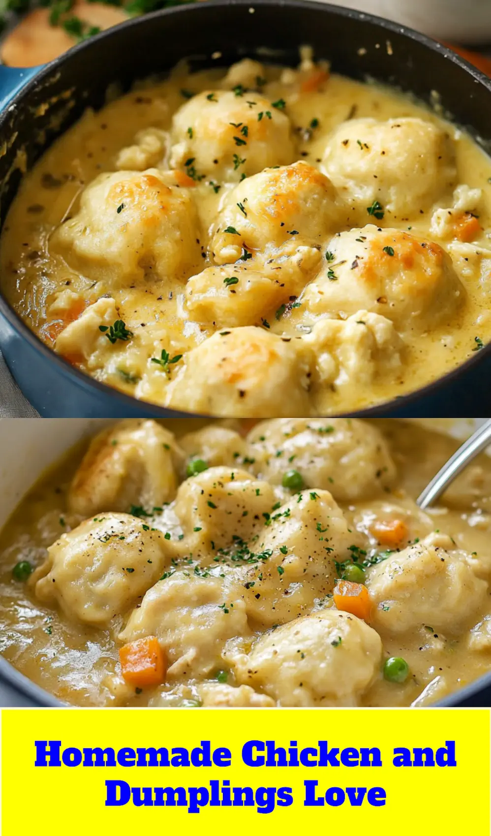 CHICKEN AND DUMPLINGS centered hero view, clean and uncluttered_pin