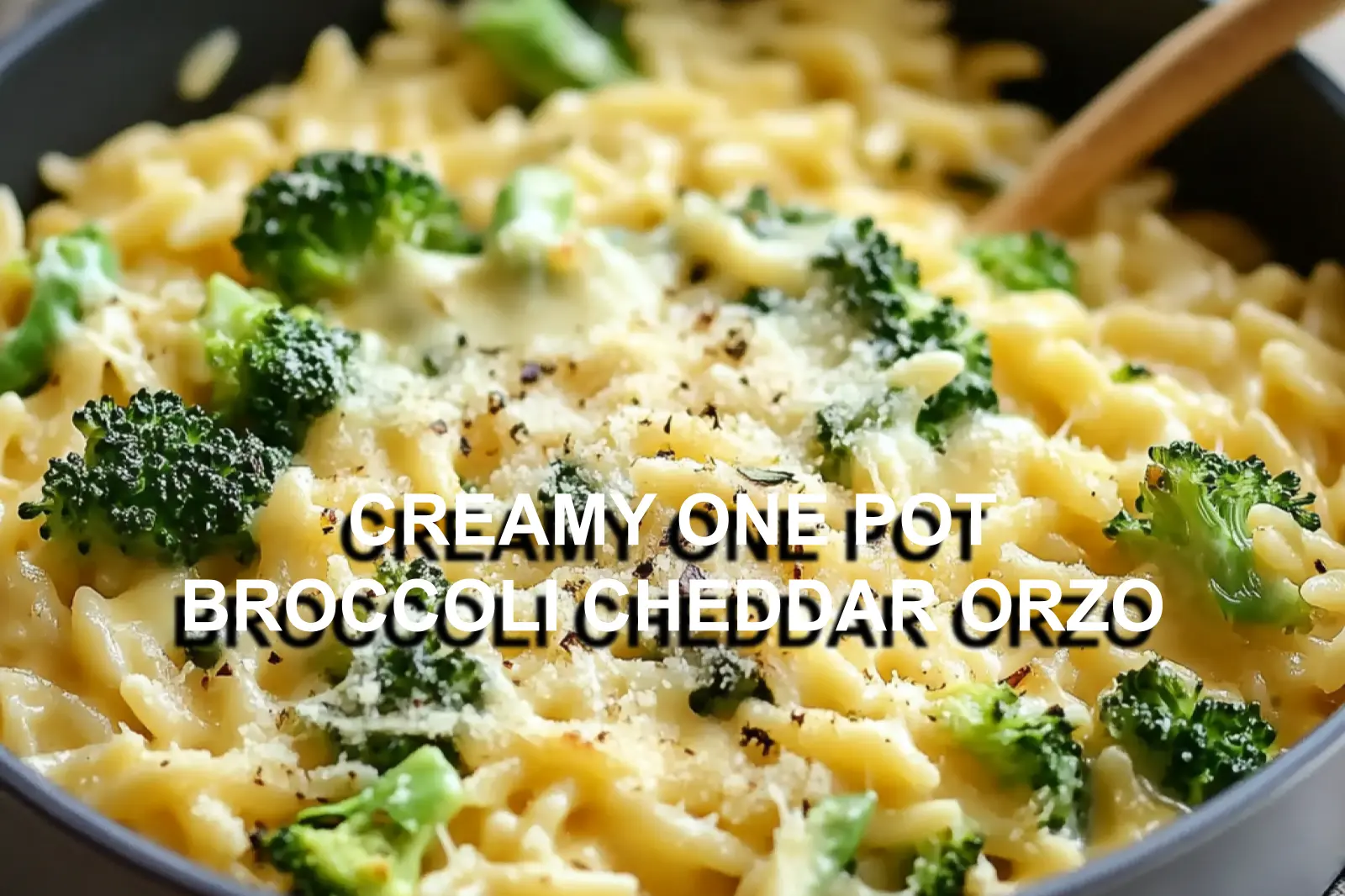 CREAMY ONE POT BROCCOLI CHEDDAR ORZO centered hero view, clean and uncluttered