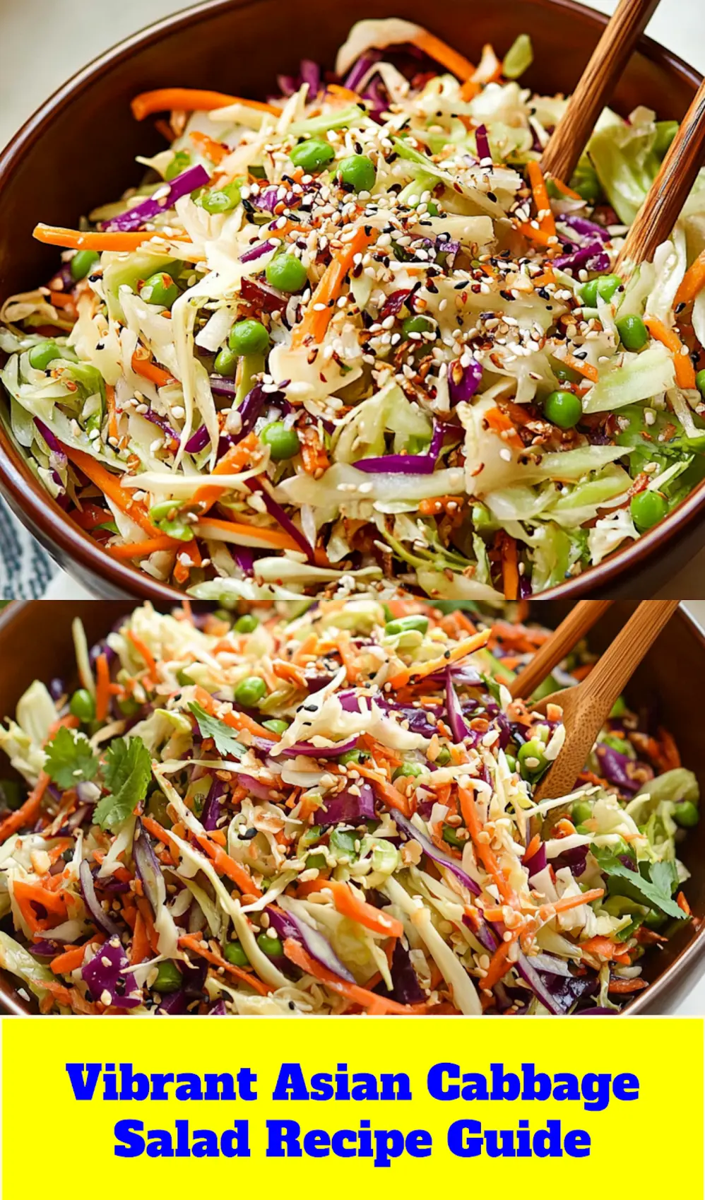 CRUNCHY ASIAN CABBAGE SALAD centered hero view, clean and uncluttered_pin