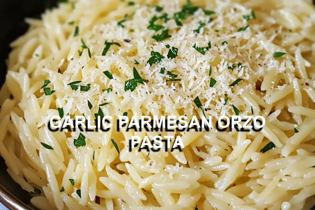 GARLIC PARMESAN ORZO PASTA centered hero view, clean and uncluttered