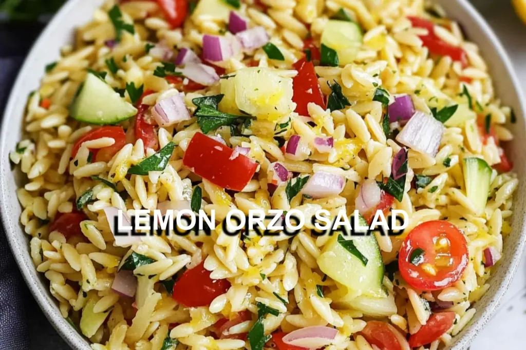 LEMON ORZO SALAD centered hero view, clean and uncluttered