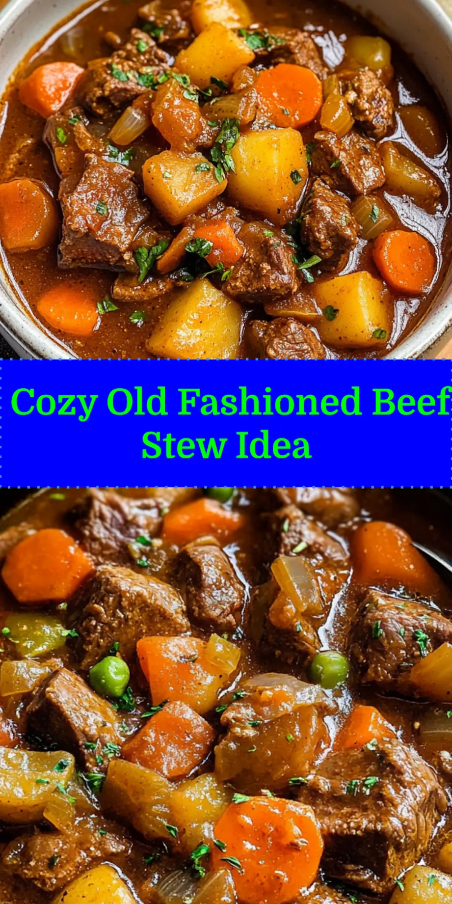 OLD FASHIONED BEEF STEW centered hero view, clean and uncluttered_pin