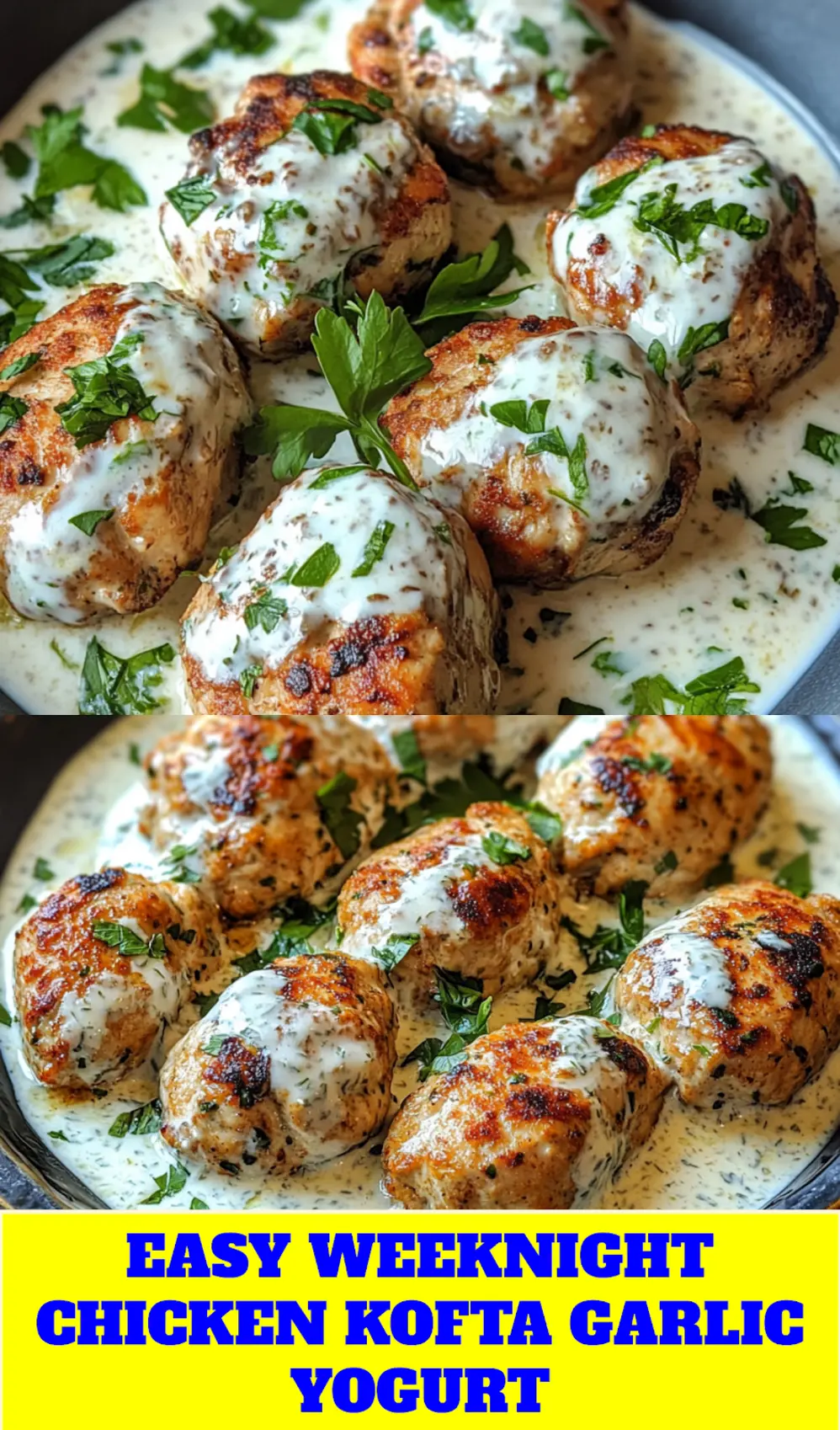 Chicken kofta with garlic yogurt sauce centered hero view, clean and uncluttered