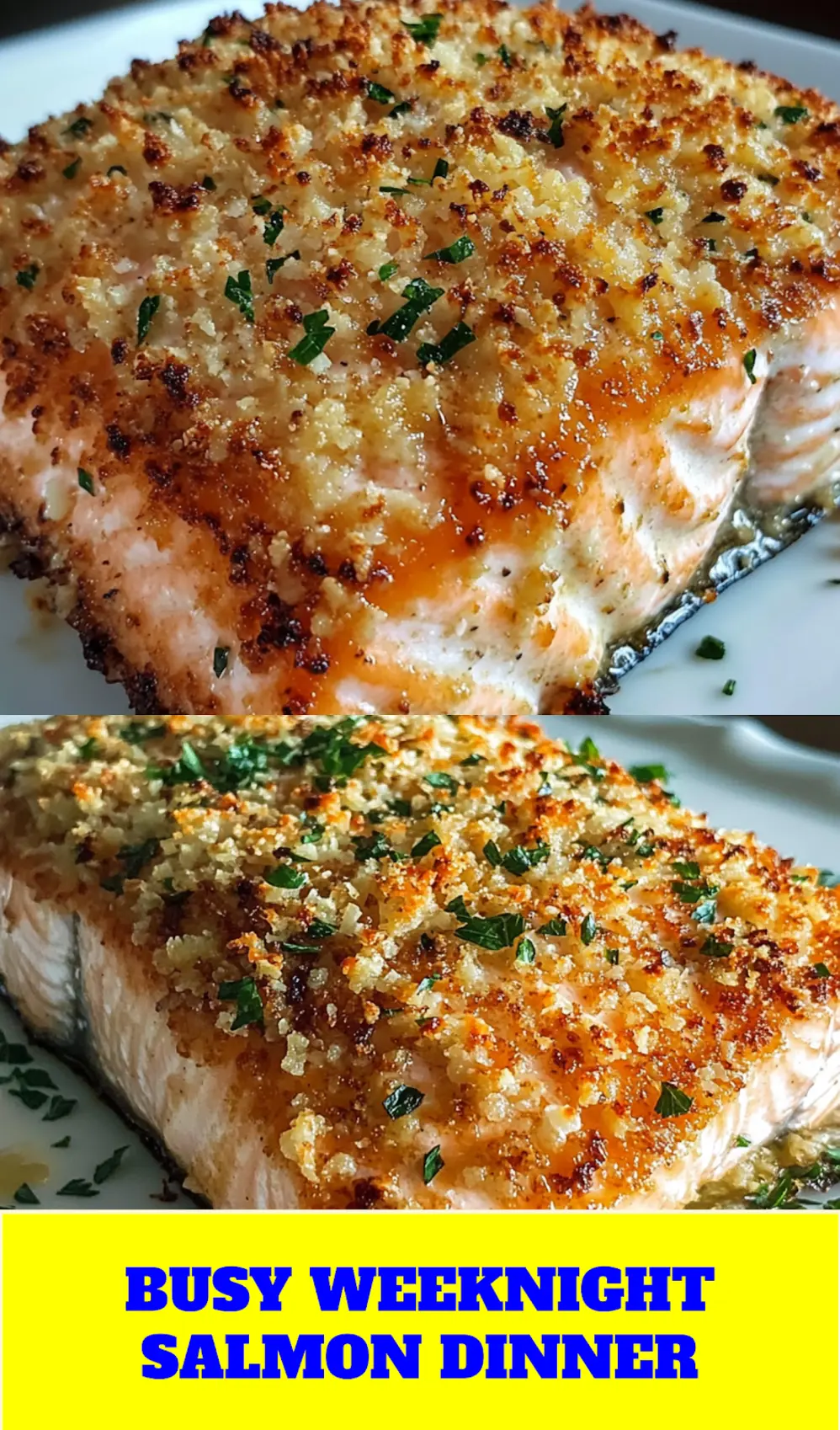 CRISPY PARMESAN CRUSTED BAKED SALMON centered hero view, clean and uncluttered