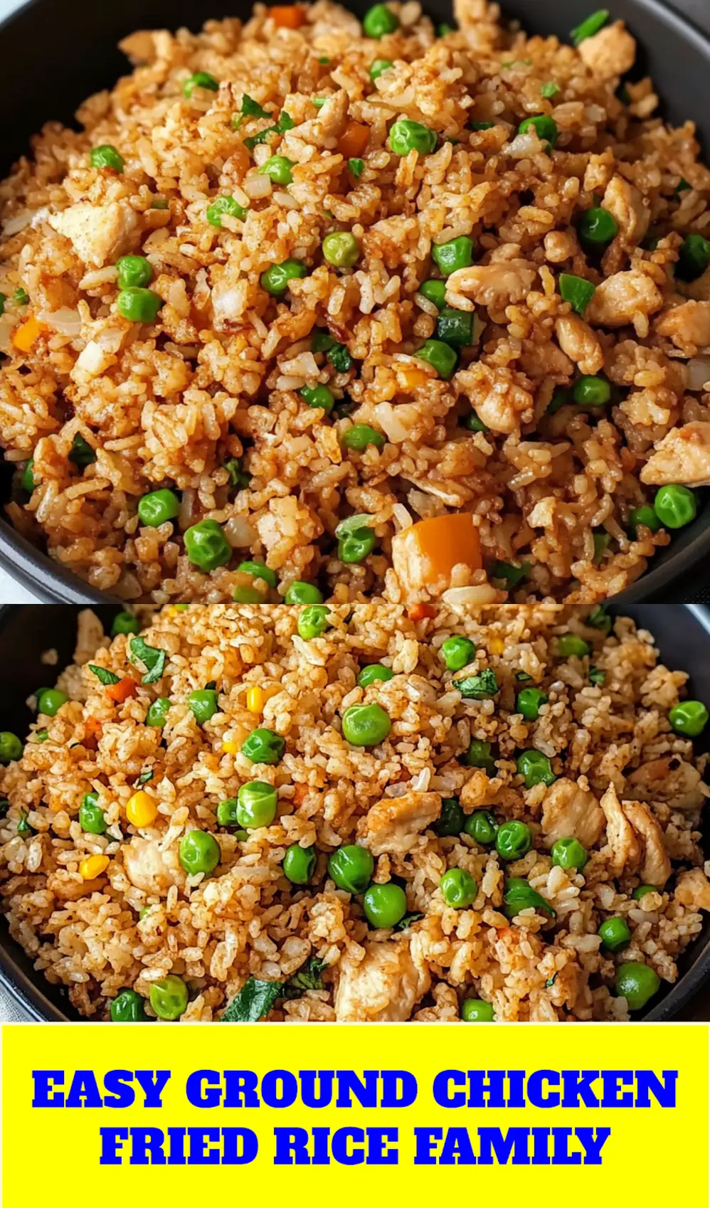 Ground Chicken Fried Rice Recipe Easy Quick and Delicious 4 Ground chicken fried rice centered hero view, clean and uncluttered