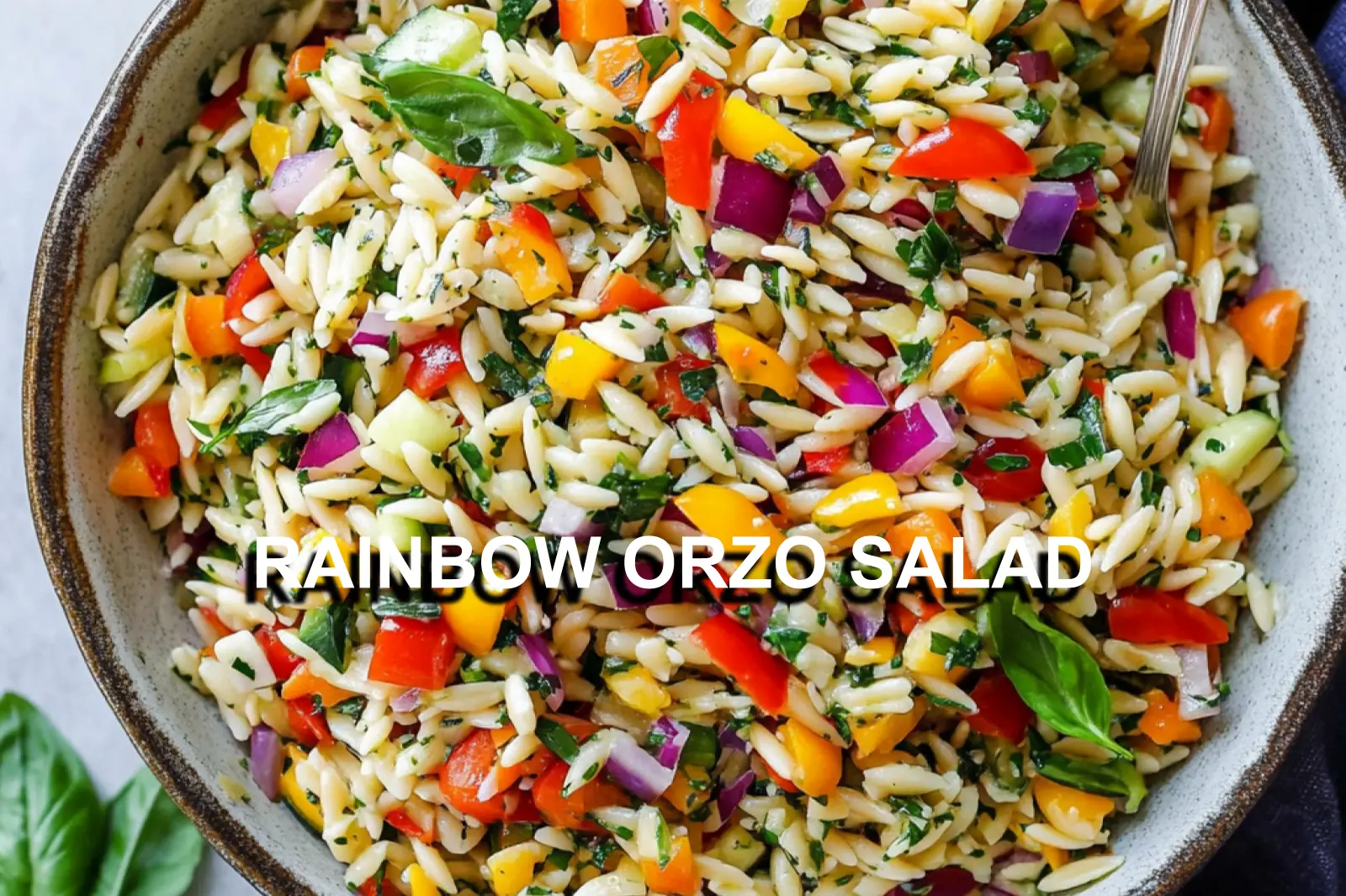 RAINBOW ORZO SALAD centered hero view, clean and uncluttered