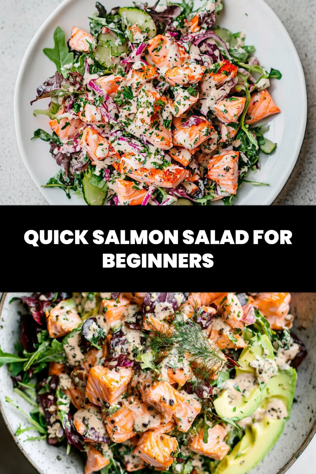 SALMON SALAD centered hero view, clean and uncluttered