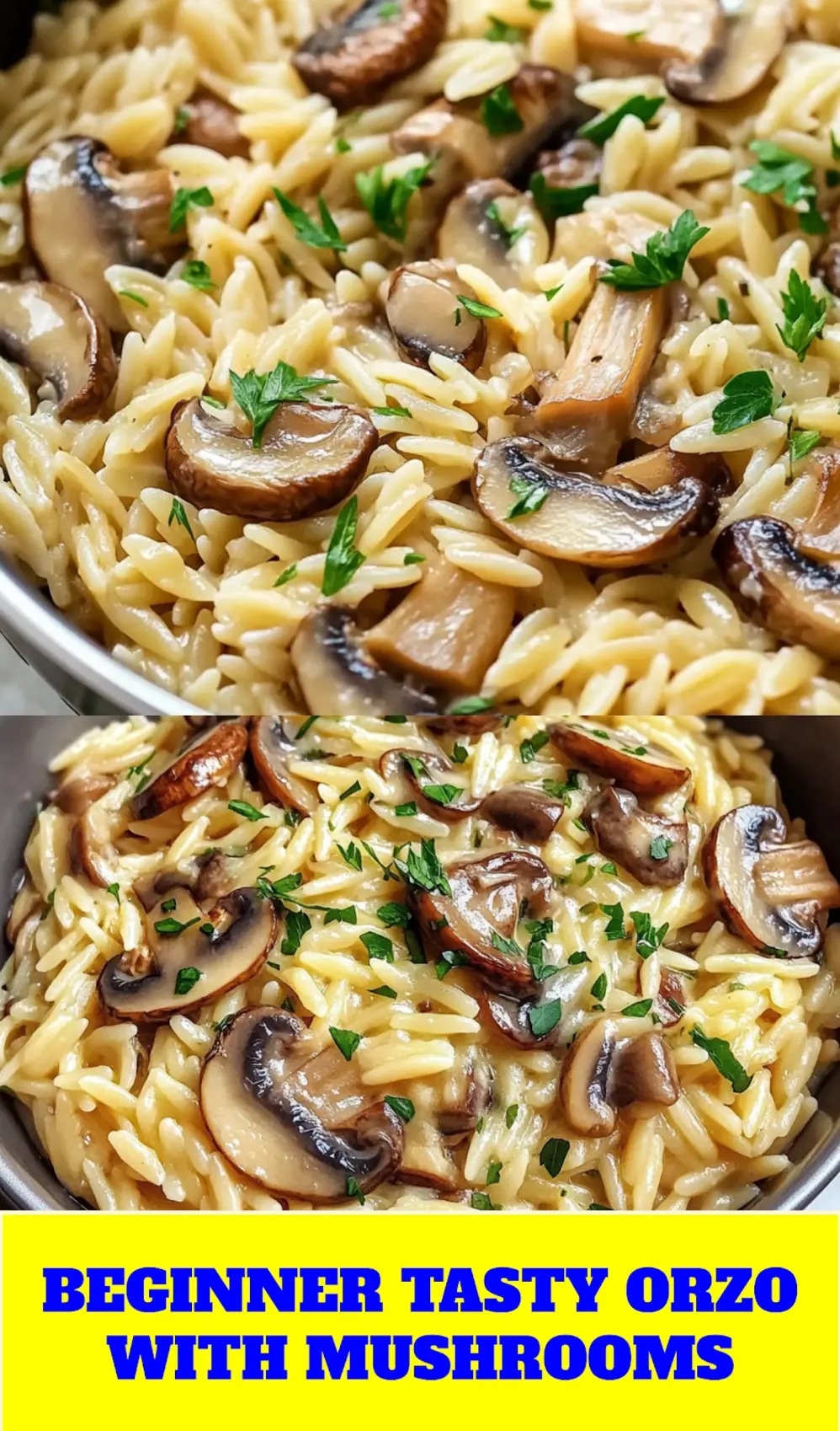 Tasty orzo with mushrooms styled for Pinterest with text overlay