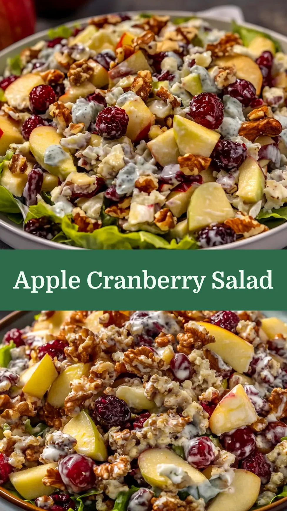 APPLE WALNUT CRANBERRY SALAD centered hero view, clean and uncluttered