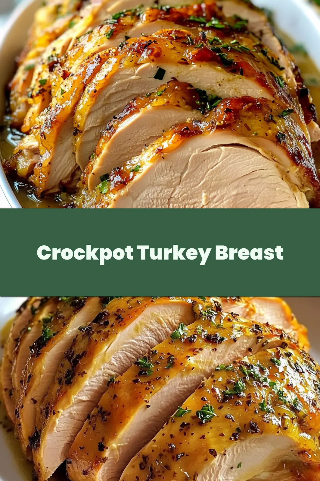 JUICY CROCKPOT TURKEY BREAST centered hero view, clean and uncluttered_pin