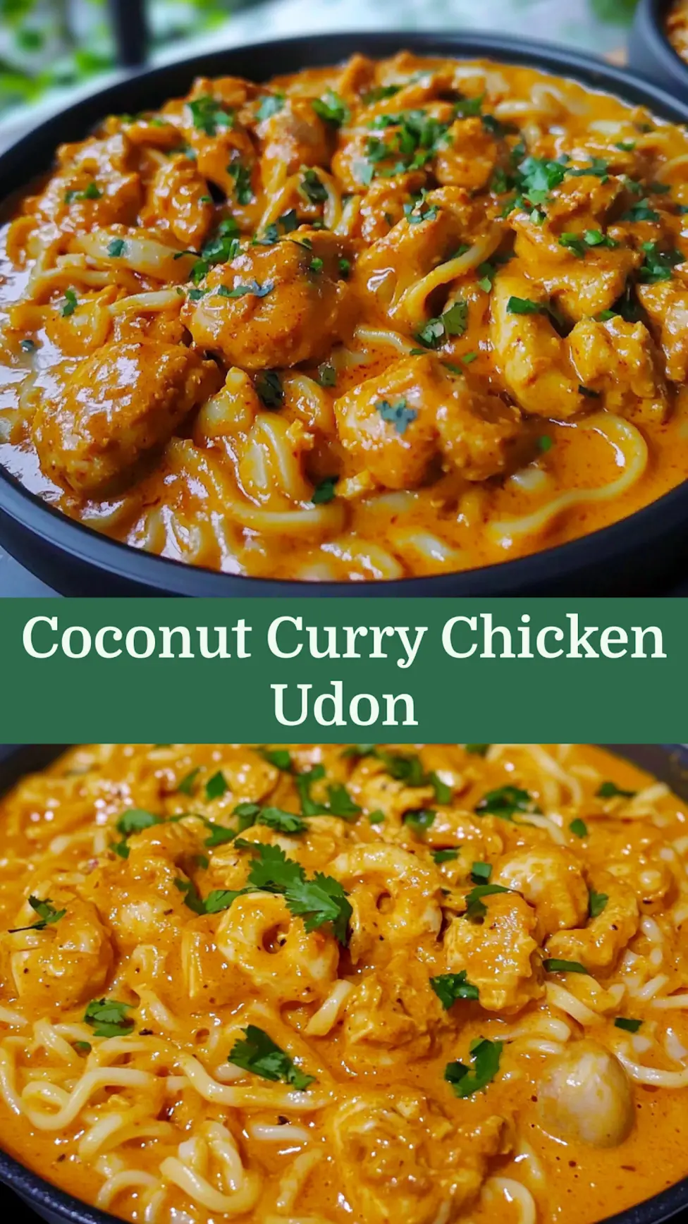 THAI INSPIRED COCONUT RED CURRY CHICKEN UDON centered hero view, clean and uncluttered