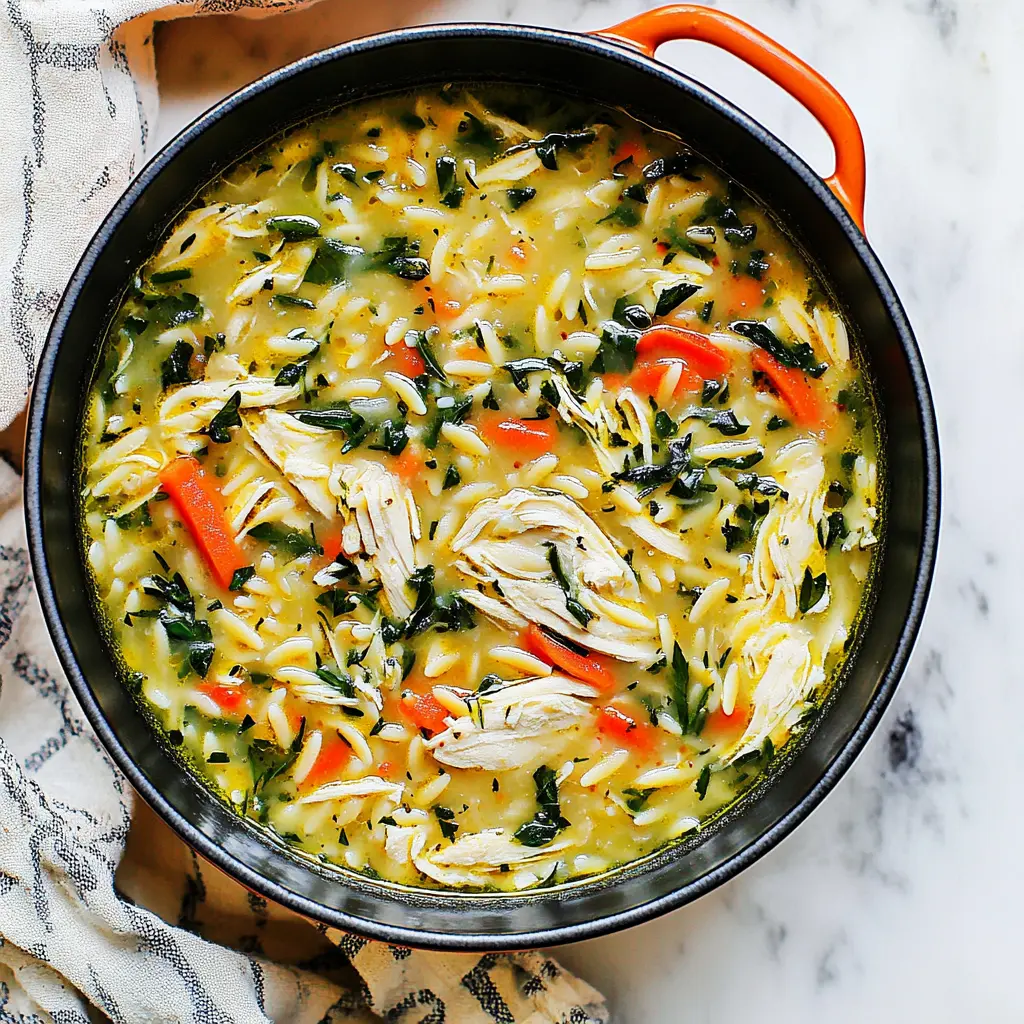 Chicken Soup Lemon Orzo recipe, served and ready to eat, easy homemade dinner