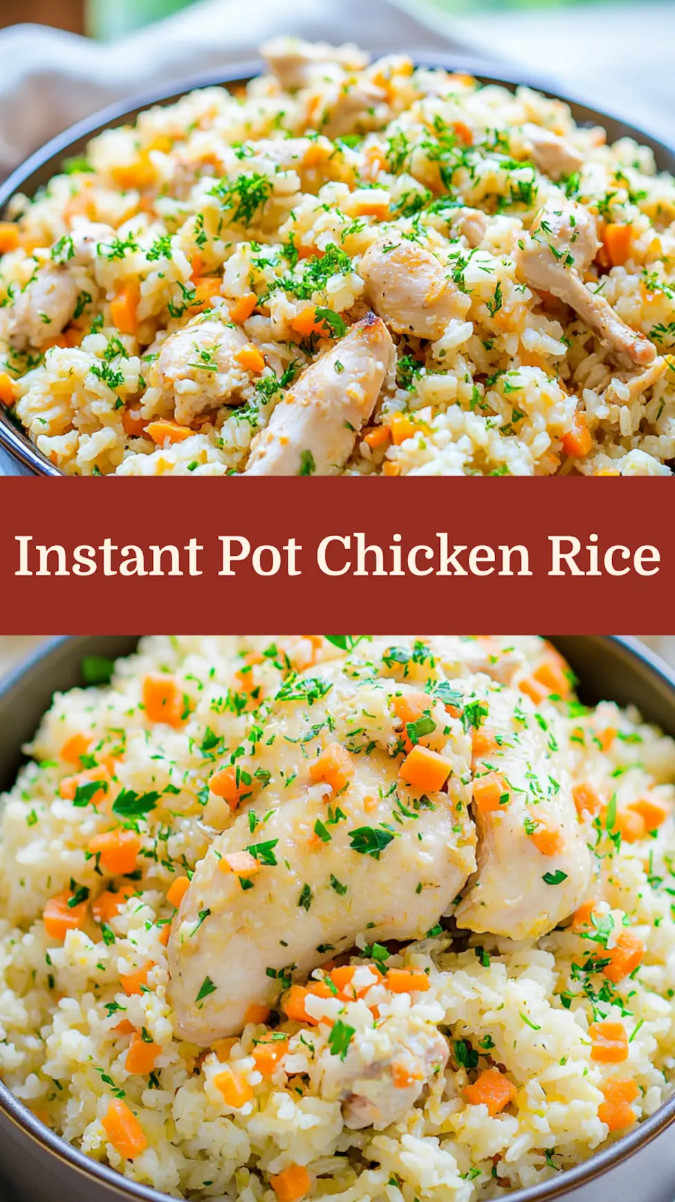 INSTANT POT CHICKEN AND RICE recipe, served and ready to eat, easy homemade dinner