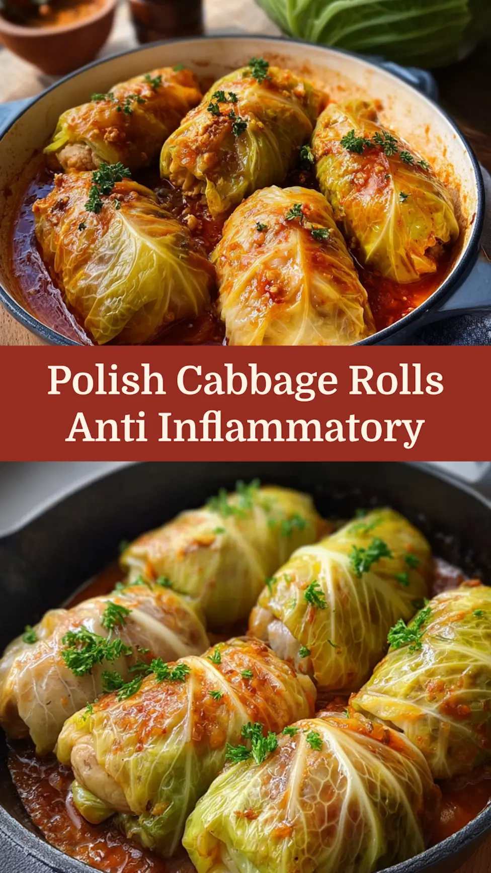 Polish Cabbage Rolls Anti Inflammatory Comforting Recipe 4 Polish Cabbage Rolls Anti Inflammatory recipe, served and ready to eat, easy homemade dinner